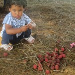 retour à madagascar 2