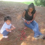 retour à madagascar 3